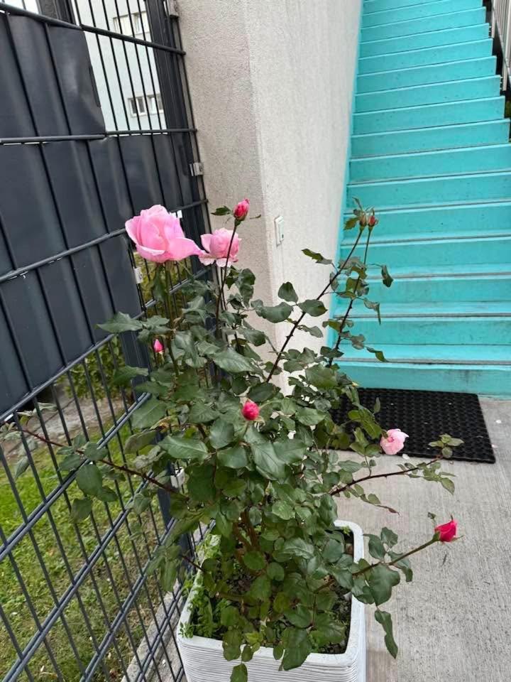 克尼格酒店 维也纳 外观 照片